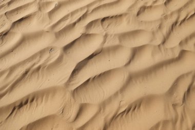 Çöl kumlarının işlenmiş kolajı yüzey dokusu. Pankart, arkaplan veya 3B haritalama için doku