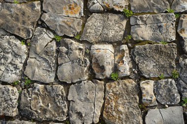 Kahverengi çakıl taşı kaldırım yüzeyinin fotoğrafı. Arkaplan veya haritalama için arkaplan dokusu