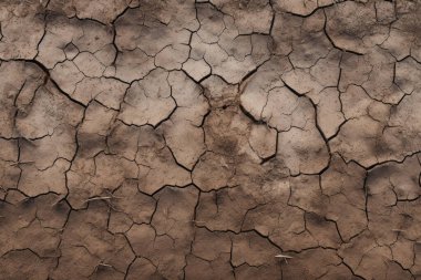 Çatlamış kil yüzey dokusunun işlenmiş kolajı. Pankart, arkaplan veya 3B haritalama için doku