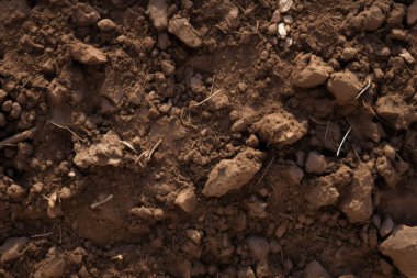 Yeraltı kahverengi toprak katman malzeme dokusu kolajı işlenmiş. Pankart, arkaplan veya 3B haritalama için doku