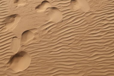 Çöl kumlarının işlenmiş kolajı yüzey dokusu. Pankart, arkaplan veya 3B haritalama için doku