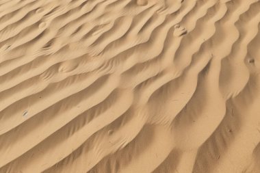 Çöl kumlarının işlenmiş kolajı yüzey dokusu. Pankart, arkaplan veya 3B haritalama için doku