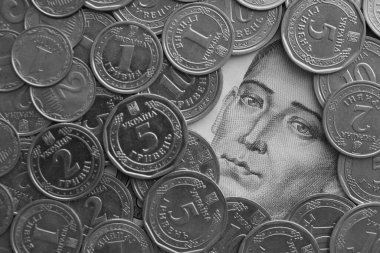 Grigori Skovoroda, 500 Ukrayna Hryvnias para banknotundan gümüş Ukrayna paralarıyla çevrili.
