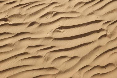 Çöl kumlarının işlenmiş kolajı yüzey dokusu. Pankart, arkaplan veya 3B haritalama için doku