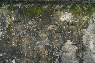 Eski, kumlu, beton yosunlu duvarın fotoğrafı. Arkaplan veya haritalama için arkaplan dokusu