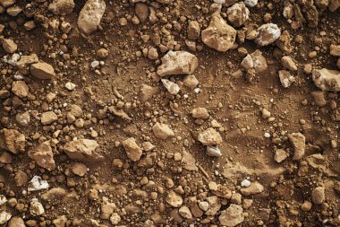 Kahverengi toprak yüzeyi fotoğrafı. Yakın çekim. Arkaplan veya haritalama için arkaplan dokusu