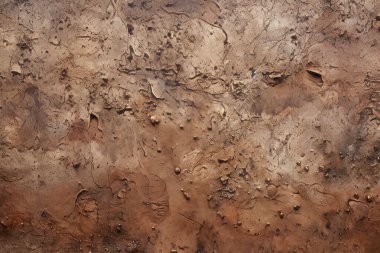 İşlenmiş kolaj eski kuru kahverengi kil yüzey dokusu. Pankart, arkaplan veya 3B haritalama için doku
