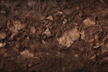 Yeraltı kahverengi toprak katman malzeme dokusu kolajı işlenmiş. Pankart, arkaplan veya 3B haritalama için doku