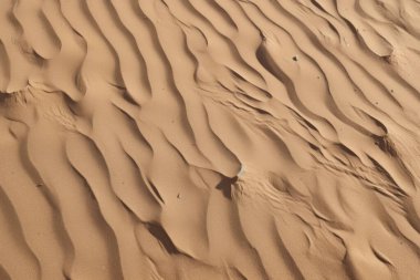 Çöl kumlarının işlenmiş kolajı yüzey dokusu. Pankart, arkaplan veya 3B haritalama için doku