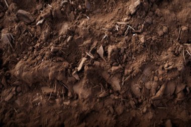 Yeraltı kahverengi toprak katman malzeme dokusu kolajı işlenmiş. Pankart, arkaplan veya 3B haritalama için doku