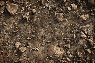 Kahverengi toprak yüzeyi fotoğrafı. Yaklaş. Arkaplan veya haritalama için arkaplan dokusu