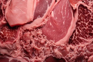 İşlenmiş taze çiğ et yüzey dokusu kolajı. Pankart, arkaplan veya 3B haritalama için doku