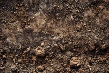 Kahverengi toprak yüzeyi fotoğrafı. Yakın çekim. Arkaplan veya haritalama için arkaplan dokusu