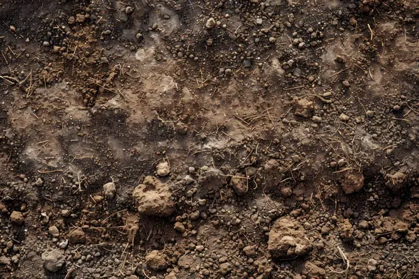 Kahverengi toprak yüzeyi fotoğrafı. Yakın çekim. Arkaplan veya haritalama için arkaplan dokusu