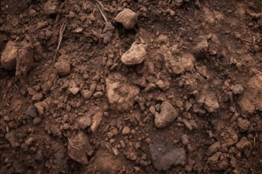 Yeraltı kahverengi toprak katman malzeme dokusu kolajı işlenmiş. Pankart, arkaplan veya 3B haritalama için doku