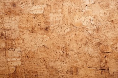Mantar tahtası ya da OSB tahtası malzeme dokusunun işlenmiş kolajı. Pankart, arkaplan veya 3B haritalama için doku