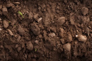 Yeraltı kahverengi toprak katman malzeme dokusu kolajı işlenmiş. Pankart, arkaplan veya 3B haritalama için doku