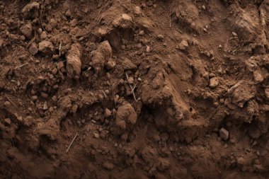 Yeraltı kahverengi toprak katman malzeme dokusu kolajı işlenmiş. Pankart, arkaplan veya 3B haritalama için doku