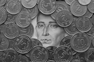 Grigori Skovoroda, 500 Ukrayna Hryvnias para banknotundan gümüş Ukrayna paralarıyla çevrili.