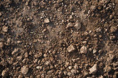 Kahverengi toprak yüzeyi fotoğrafı. Yakın çekim. Arkaplan veya haritalama için arkaplan dokusu