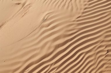 Çöl kumlarının işlenmiş kolajı yüzey dokusu. Pankart, arkaplan veya 3B haritalama için doku