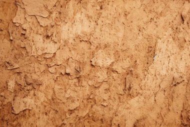 Mantar tahtası ya da OSB tahtası malzeme dokusunun işlenmiş kolajı. Pankart, arkaplan veya 3B haritalama için doku