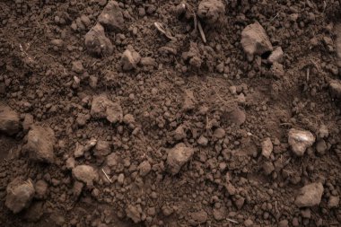 Yeraltı kahverengi toprak katman malzeme dokusu kolajı işlenmiş. Pankart, arkaplan veya 3B haritalama için doku