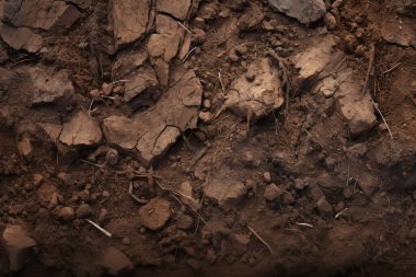 Yeraltı kahverengi toprak katman malzeme dokusu kolajı işlenmiş. Pankart, arkaplan veya 3B haritalama için doku