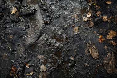 Islak toprak çamurlu göletin fotoğrafı. Arkaplan veya haritalama için arkaplan dokusu