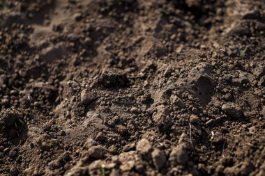 Kahverengi toprak yüzeyi fotoğrafı. Yaklaş. Arkaplan veya haritalama için arkaplan dokusu
