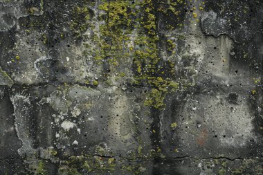 Eski, kumlu, beton yosunlu duvarın fotoğrafı. Arkaplan veya haritalama için arkaplan dokusu