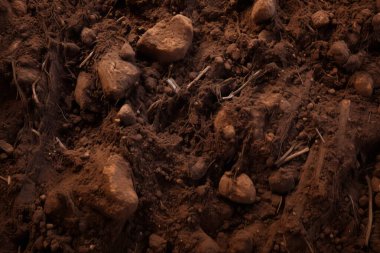 Yeraltı kahverengi toprak katman malzeme dokusu kolajı işlenmiş. Pankart, arkaplan veya 3B haritalama için doku