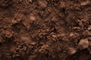 Yeraltı kahverengi toprak katman malzeme dokusu kolajı işlenmiş. Pankart, arkaplan veya 3B haritalama için doku