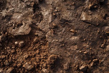 Kahverengi toprak yüzeyi fotoğrafı. Yaklaş. Arkaplan veya haritalama için arkaplan dokusu