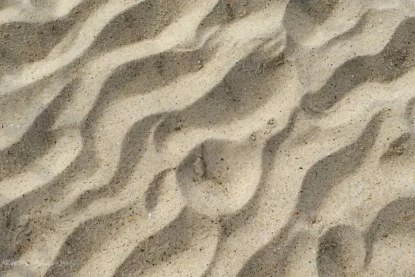 Sahildeki sarı kum yüzeyi fotoğrafı. Yaklaş. Arkaplan veya haritalama için arkaplan dokusu