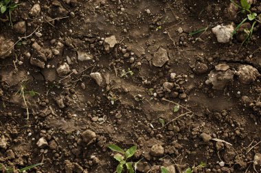 Kahverengi toprak yüzeyi fotoğrafı. Yakın çekim. Arkaplan veya haritalama için arkaplan dokusu
