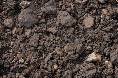 Kahverengi toprak yüzeyi fotoğrafı. Yakın çekim. Arkaplan veya haritalama için arkaplan dokusu