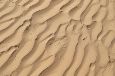 Çöl kumlarının işlenmiş kolajı yüzey dokusu. Pankart, arkaplan veya 3B haritalama için doku