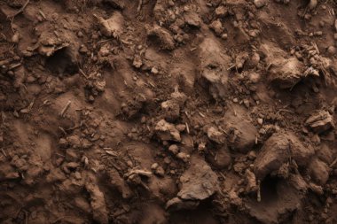 Yeraltı kahverengi toprak katman malzeme dokusu kolajı işlenmiş. Pankart, arkaplan veya 3B haritalama için doku