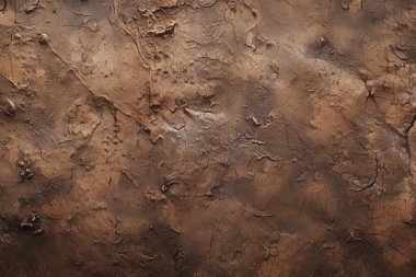 İşlenmiş kolaj eski kuru kahverengi kil yüzey dokusu. Pankart, arkaplan veya 3B haritalama için doku