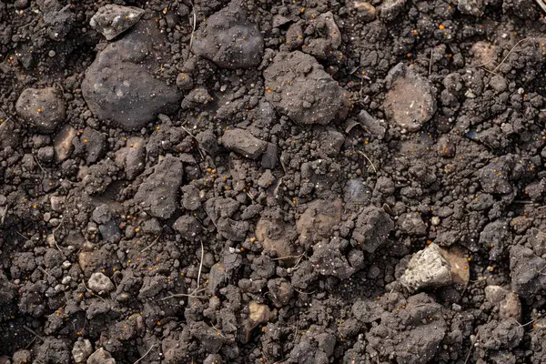 Kahverengi toprak yüzeyi fotoğrafı. Yakın çekim. Arkaplan veya haritalama için arkaplan dokusu