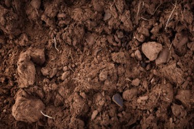 Yeraltı kahverengi toprak katman malzeme dokusu kolajı işlenmiş. Pankart, arkaplan veya 3B haritalama için doku