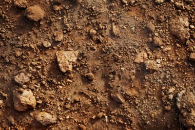 Kahverengi toprak yüzeyi fotoğrafı. Yakın çekim. Arkaplan veya haritalama için arkaplan dokusu