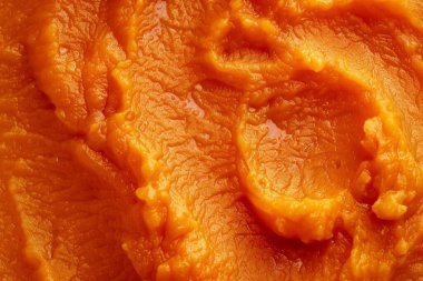 Taze havuç püresi bebek mamasının fotoğrafı. Arkaplan ya da yemek tarifleri için yemek fotoğrafı