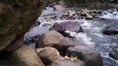 Doğal Ormandaki Kayaların Üzerinden Akan Temiz Dağ Deresi