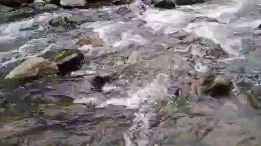 Doğal Ormandaki Kayaların Üzerinden Akan Temiz Dağ Deresi