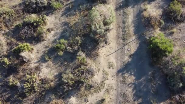 Vándorló Tücskök Egy Földúton Kelnek Sivatagon Magasan Drónok Felett — Stock videók