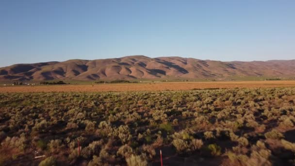 Vuelo Drones Sobre Desierto Sagebrush Filas Hierba Cortada Hayfield — Vídeo de stock
