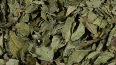 Kurumuş köri yapraklarını saat yönünde döndür