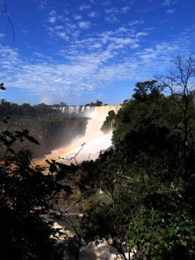 İguazu Şelalesinin bir portresi.